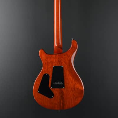 Paul Reed Smith SE Custom 24 '19 image 5