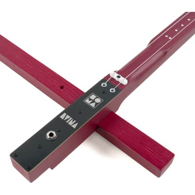 SOMA Laboratory Dvina Electro-Acoustic Stringed Instrument (Red) [USED] image 4