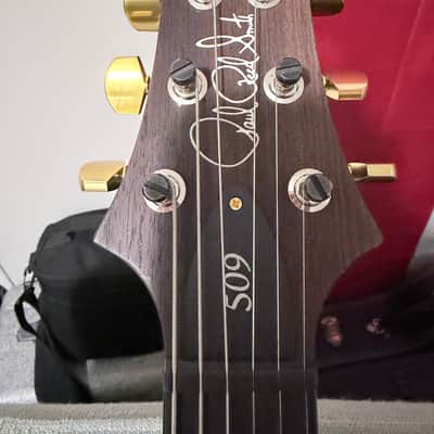 PRS 509 2022 - Charcoal burst image 7
