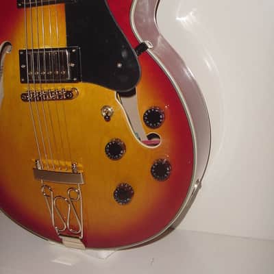 Glen Burton GE775-CBS Hollow Body Chicago Maple Neck 6-String Electric Guitar w/Gig Bag, Strap & Picks image 4