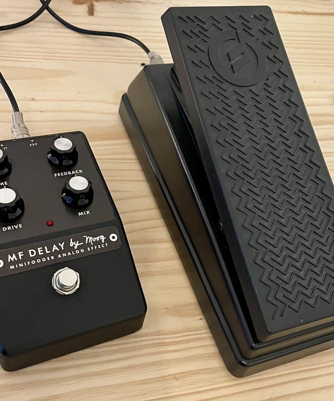 Moog Minifooger MF Delay | Reverb