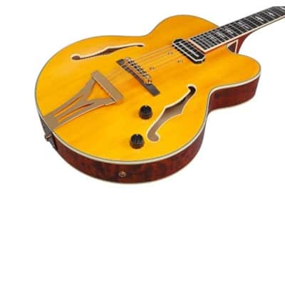 IBANEZ PM3CNAL Natural Amber Low Gloss image 3
