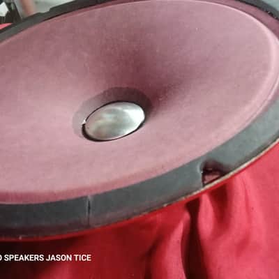 12" ALNICO SPEAKER UTAH BASED HEMPOPOTAMUS HYBRID FAT THICK MEATY 3D TONALITY PMR SPEAKER image 2