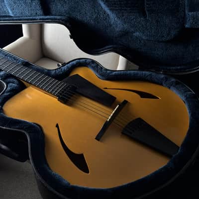 Eastman PG2 Pagelli Archtop 17" image 16