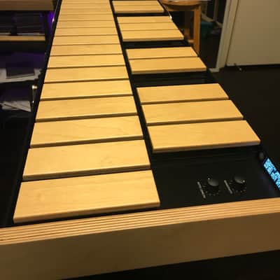 Xylosynth XS7-4BB 2020 image 2