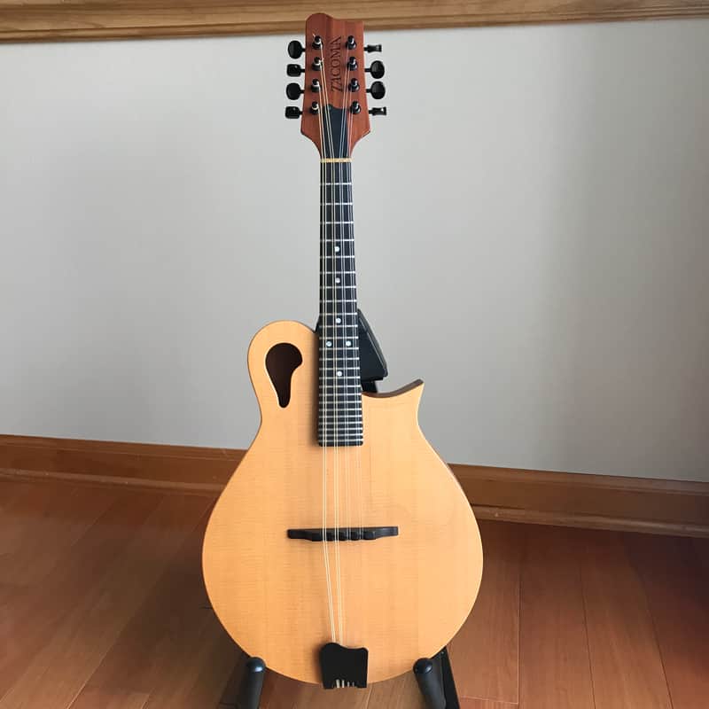 Tacoma M-1E Mandolin - Acoustic/Electric w/Hardshell Case image 1