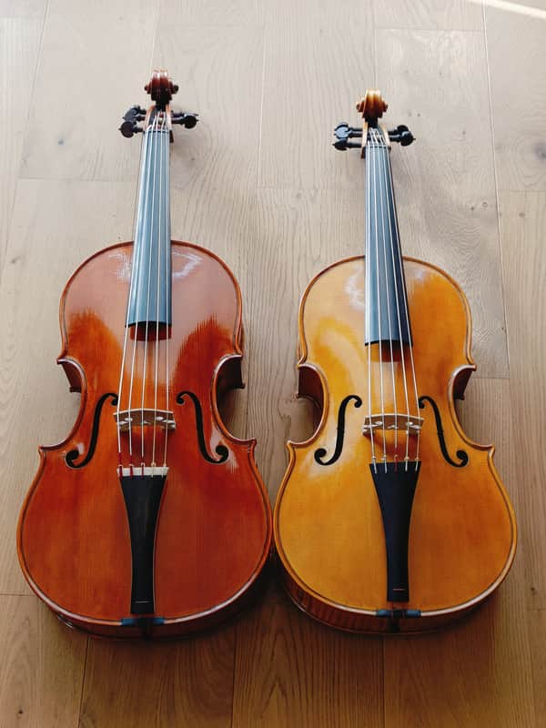 Radbon Violoncello da spalla 2025 image 1