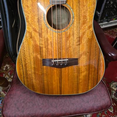 Fender Victor Bailey VB-2 acoustic bass guitar image 2