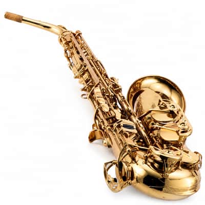Eastman EAS850 'Rue Saint-Georges' Professional Alto Saxophone SN A2440262 image 16
