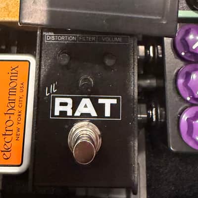 Rat - ProCo Lil Rat - Black image 1