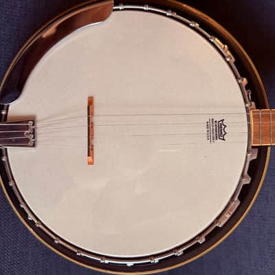 Washburn B-9T - Banjo mit Koffer image 2