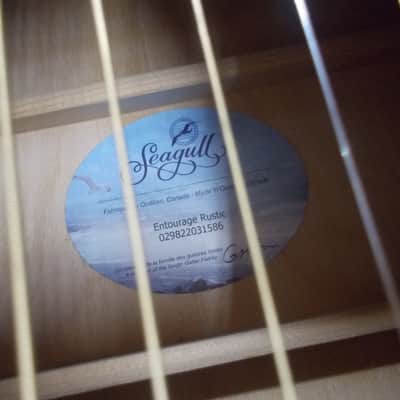 Seagull Entourage Rustic Dreadnought Acoustic Guitar Player!! image 15