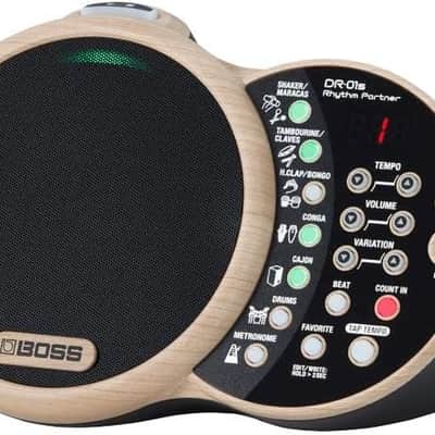Boss DR-01S Rhythm Partner image 5