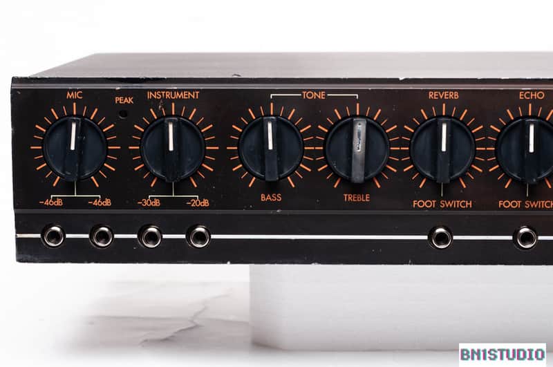 Evans Echopet EP-250 BBD Analogue Delay #7 | Reverb