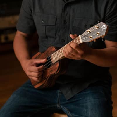Ortega Timber Series Concert Ukulele w/ Bag image 15