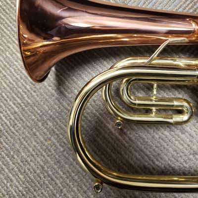 Rare Blessing B155 Artist 4-Valve Flugelhorn W/ Rose Brass Bell, New ProTec Case! image 4