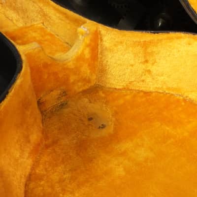 Vintage 1970's Gold Interior Acoustic Case image 3
