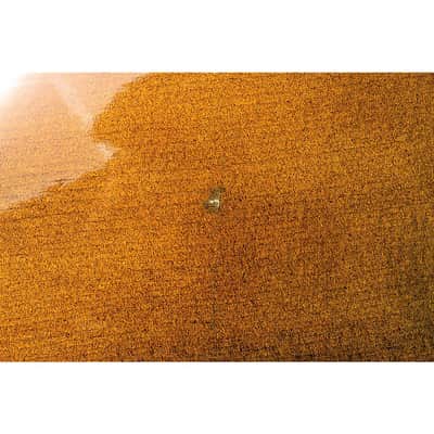 Stentor 1108 Student II Series Cello Outfit Regular 4/4 Size image 12