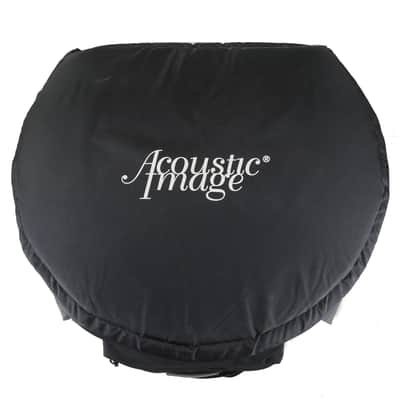 Acoustic Image Ten2 S4 631AA Double Bass Amp with Mooradian Bag image 4