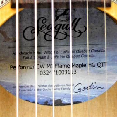 2003 Seagull Performer CW Mini-Jumbo Flame Maple Acoustic-Electric w/ Gig Bag! VERY NICE!!! image 11