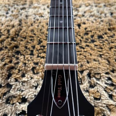 Gold Tone AC-6+ 6-String Acoustic-Electric Banjo Natural 2025 image 22