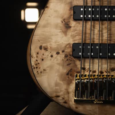 Fodera Emperor 5 Standard Special Buckeye Burl 2025 (9,7 Lbs.) image 6