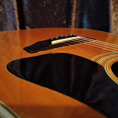 Guild D-50 Dreadnought Acoustic 1974 One Owner! Highly Figured Rosewood Back image 5