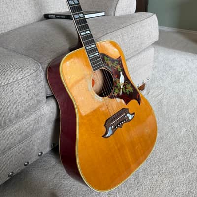 Gibson Dove 1963 image 2