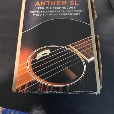 L.R Baggs Anthem SL？搭載!　Morris W-28 Anthem Acoustic Guitar Pickup and Microphone — LR Baggs