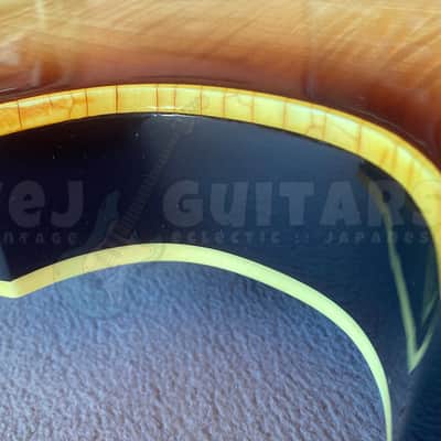 GRECO VB-450 1976 - w/HSC - VINTAGE JAPAN VIOLIN BASS image 21
