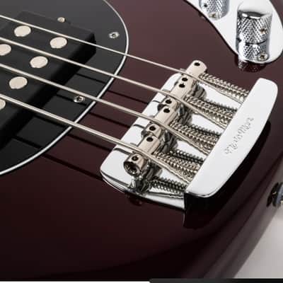 Ernie Ball Music Man StingRay 4 H Special, Translucent Oxblood / Roasted Maple *ON ORDER ETA  April 2026 image 5