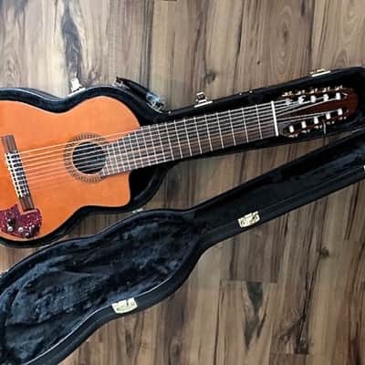 Cathedral 10 string clasical guitar 2013 with midi pickup image 5
