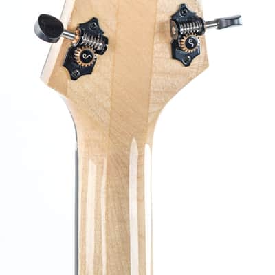 Eastman PG2 Pagelli Archtop Recent image 6
