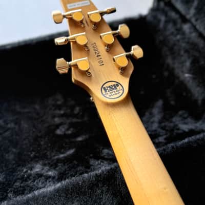 ESP Custom Shop Horizon-CTM 5A Quilt Maple Top (Takada Factory) image 7