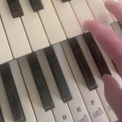 Farfisa Commander Dual Keyboard Organ 1980 - Black image 9