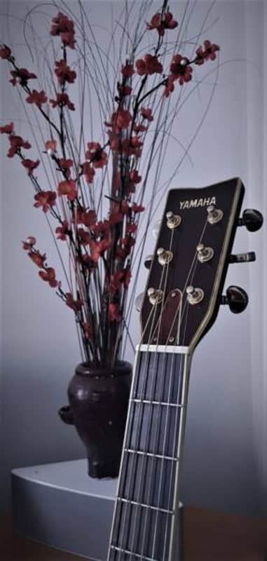 Yamaha L10 1980 Natural image 1