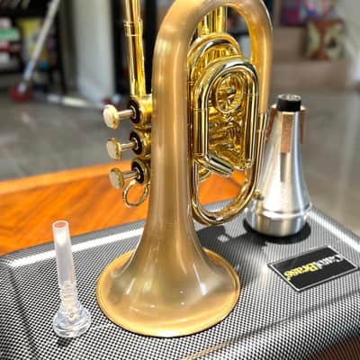 Carol Brass Pocket Trumpet CPT-3000-SLB image 7