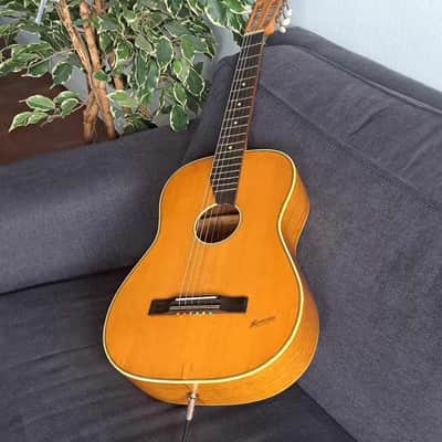 HARMONIE Folk/blues parlor with 3 piezo pickups 1960 image 1