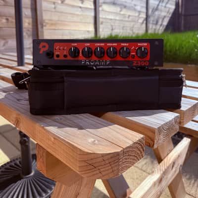 Immagine PROAMP Z300 - 2