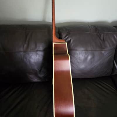 *With Case, Strap and Capo* Seagull Entourage Dreadnought CW QIT 2010s - Autumn Burst image 9