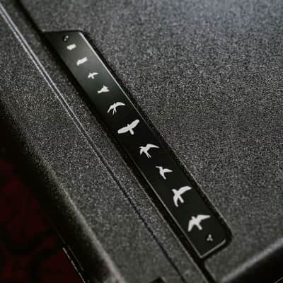 PRS ATA Hardshell Multi-Fit Molded Cases, RH, D2, Stealth Birds image 4