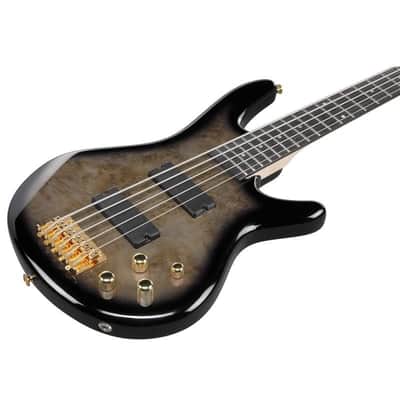 Ibanez GSR205PC-TPB [SPOT MODEL] 【Special Price】 image 3