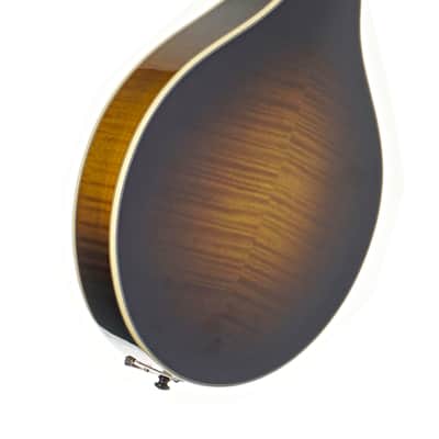 Bourgeois M5-A SB Mandolin #M2512108 image 2