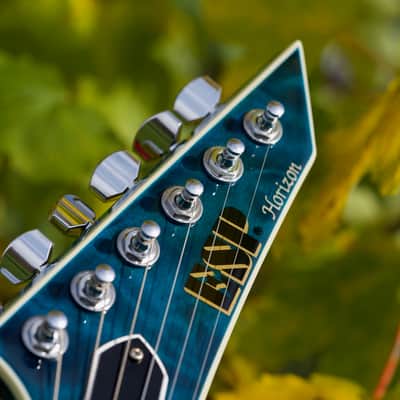ESP Horizon FR-II BKAQ Standard 2005 Black Aqua image 16