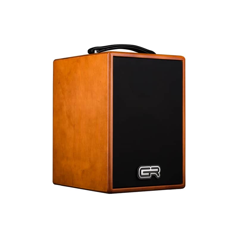 GR Audio WD Acoustic 6 guitar amplifier image 1