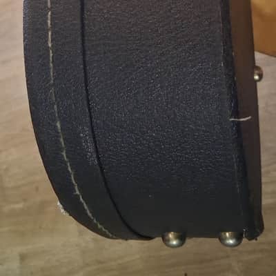 Epiphone E940EHLCS Alleykat Flamekat or Wildkat Guitar Hard Case 2010 - Black image 8