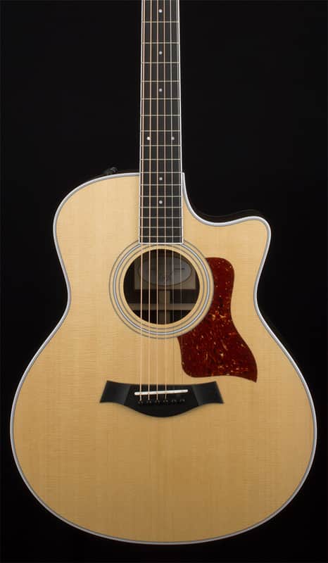 Taylor 416ce-R Rosewood #6006 BUNDLE w/Free Taylor Guitars Wooden Stand! image 1
