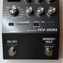 Boss RV-200 Reverb 2023 - Present