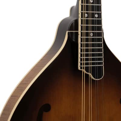 Gold Tone GM-55A A-Style Mandolin with Pickup image 4