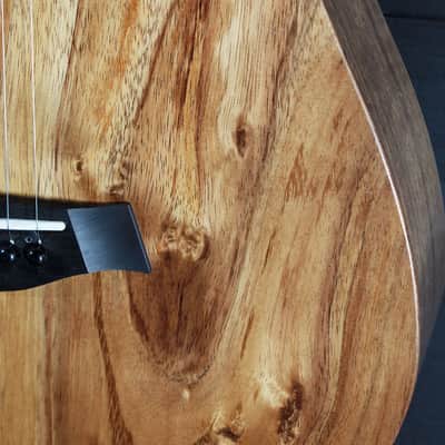 Taylor BT-E Koa Baby Taylor w/ ES-B Electronics Acoustic Guitar image 18